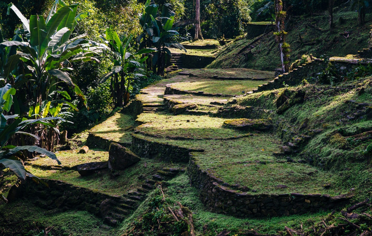 Transformación - Antiguas terrazas de piedra con césped verde